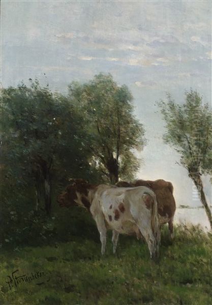 Cows In A Pasture Oil Painting by Pieter Stortenbeker