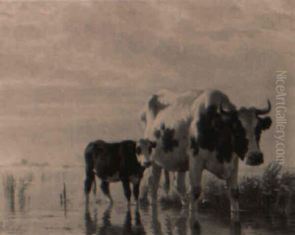 A Cow And Calf Oil Painting by Pieter Stortenbeker