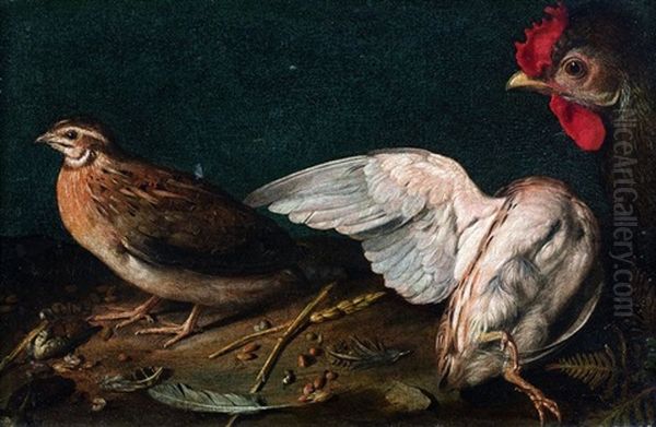 Perdrix Grises Et Coq Oil Painting by Sebastian Stosskopf