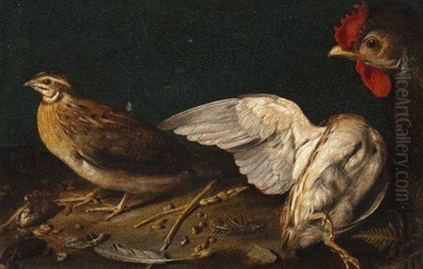 Perdrix Grises Et Coq Oil Painting by Sebastian Stosskopf