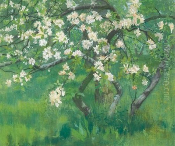 Apple Tree In Blossom Oil Painting by William Stott