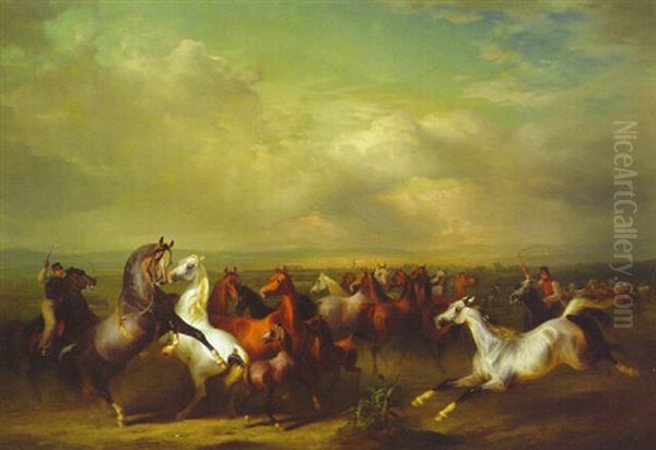 Shagya Arab Horses Being Herded Before The Military School, Babolna, Hungary Oil Painting by Otto Stotz