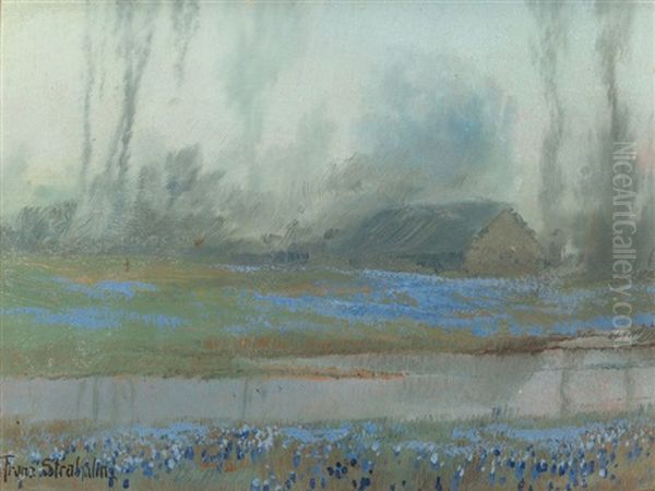 Bluebonnets At Dusk Oil Painting by Franz Strahalm