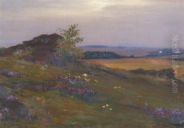 Weite Landschaft Mit Felsblocken Oil Painting by Josef Straka