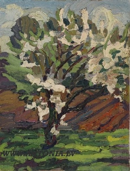 Flowering Tree Oil Painting by Aleksanders Straels