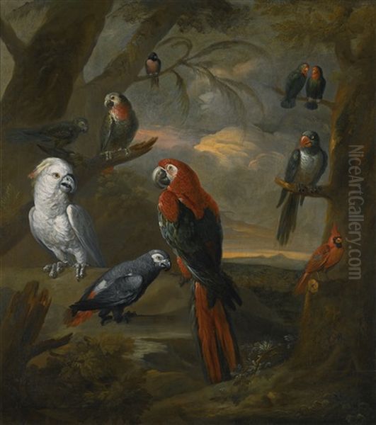 Parrots In An Extensive Woodland Landscape Oil Painting by Tobias Stranovius