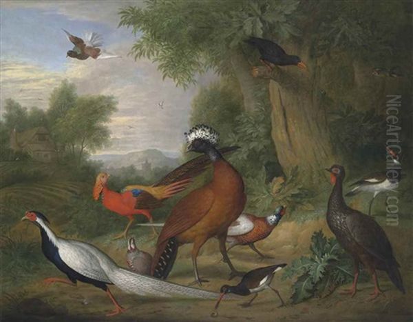 A Great Curassow, Golden Pheasant, Silver Pheasant, Oystercatcher And Other Birds In A Wooded Landscape Oil Painting by Tobias Stranovius