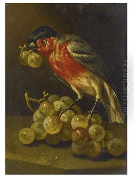 A Bullfinch With Grapes Oil Painting by Tobias Stranovius