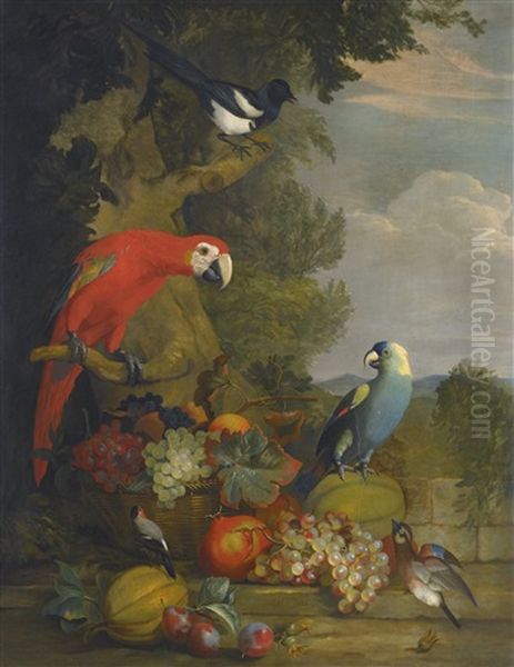 Macaws, A Black-billed Magpie And A Robin With A Fruit Still-life Oil Painting by Tobias Stranovius