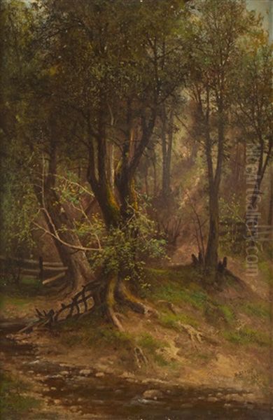 Forest Interior With Dry Wash Oil Painting by Meyer Straus