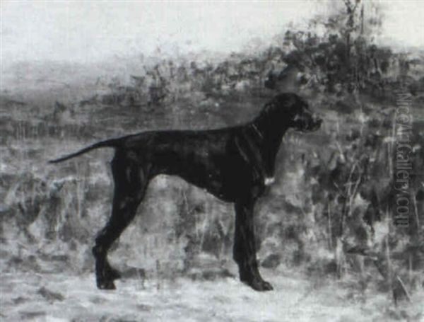 Jagdhund Oil Painting by Hugo Strauss