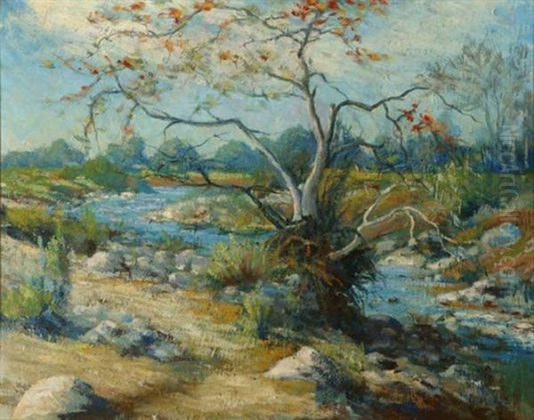 Stream In Landscape Oil Painting by Harold Streator