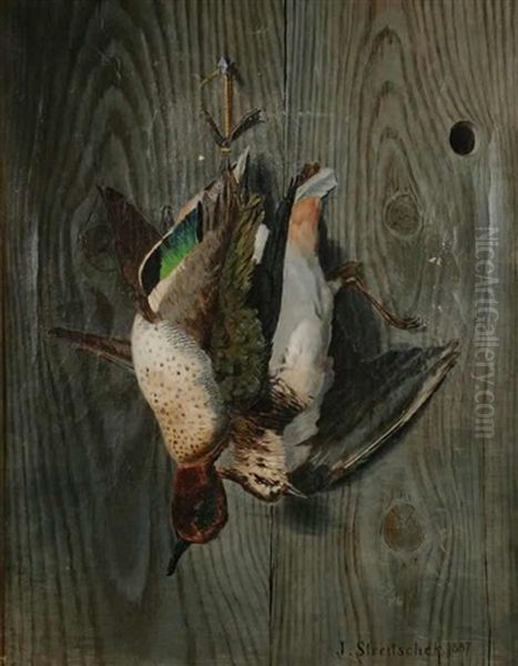 A Bird Catch Oil Painting by Johann Streitscheck