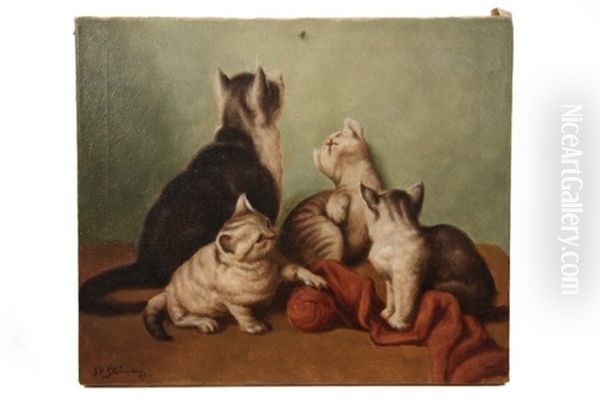 Cat With Four Kittens With Fly On Wall by Jan Striening