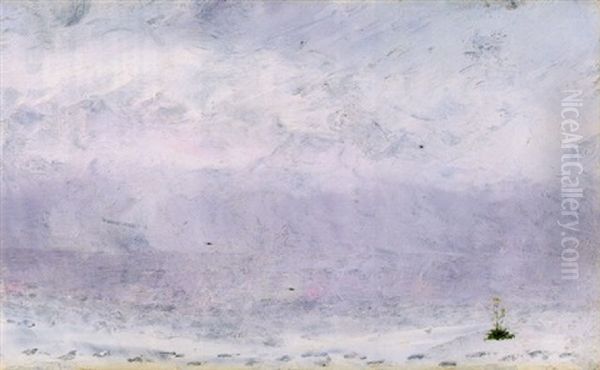 Strand I Sommarnatt Oil Painting by August Strindberg