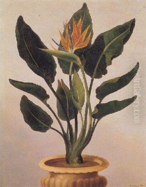 Still Life With A Potted, Flowering Strelitzia Reginae Oil Painting by Christian Strodtmann