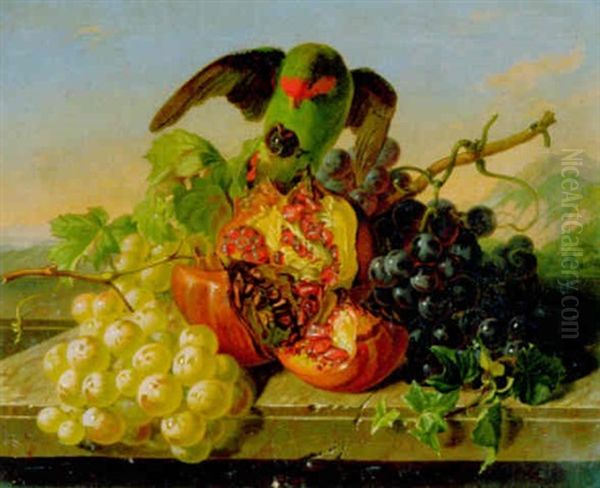 Stilleben Mit Trauben Und Auf Granatapfel Sitzendem Sittich Oil Painting by Antal Jozsef Strohmayer