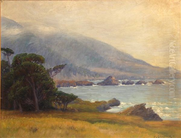 Fog Lifting On The Coast Oil Painting by Elizabeth Strong