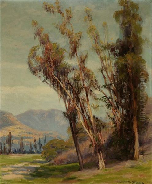 Eucalyptus In A California Landscape Oil Painting by Elizabeth Strong