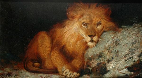 Lion (study) Oil Painting by William Strutt