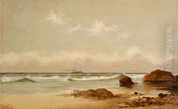 Steamship In The Distance Oil Painting by Alexander Charles Stuart