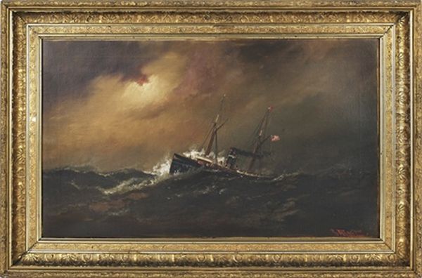 Seascape With An American Steamship Oil Painting by Alexander Charles Stuart