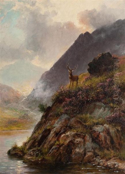 Stag In A Highland Landscape Oil Painting by Charles Stuart