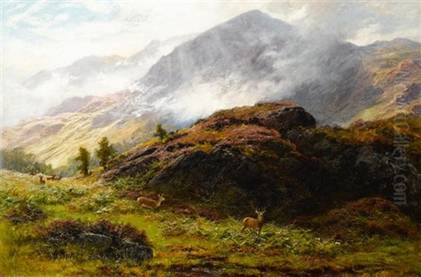 Deer In The Scottish Highlands Oil Painting by Charles Stuart