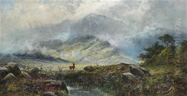 Stags In A Misty Highland Landscape Oil Painting by Charles Stuart