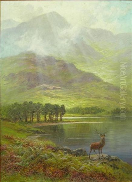 Stag By A Highland Loch Oil Painting by Charles Stuart