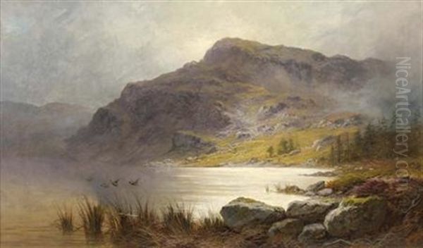 Duck Rising Over A Highland Loch Oil Painting by Charles Stuart