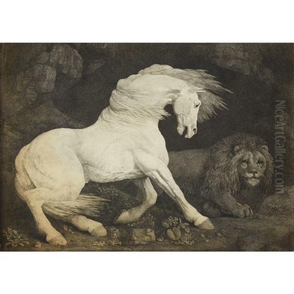 A Horse Affrighted At A Lion Oil Painting by George Stubbs