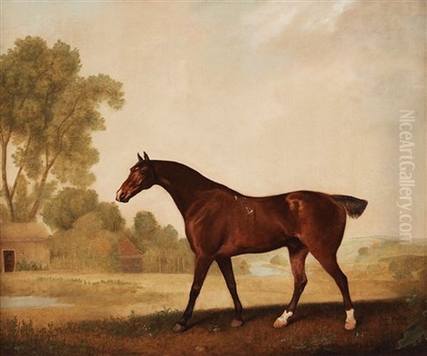 Eagle, A Bay Racehorse Oil Painting by George Stubbs