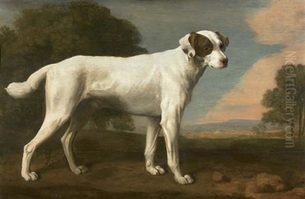 Portrait Du Chien Blanc Du Vicomte Gormanston Oil Painting by George Stubbs