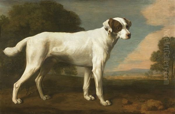 Portrait Du Chien Blanc Du Vicomte Gormanston Oil Painting by George Stubbs