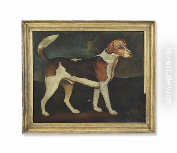 Ringwood, A Brocklesby Foxhound Oil Painting by George Stubbs