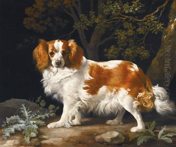 King Charles Spaniel Oil Painting by George Stubbs