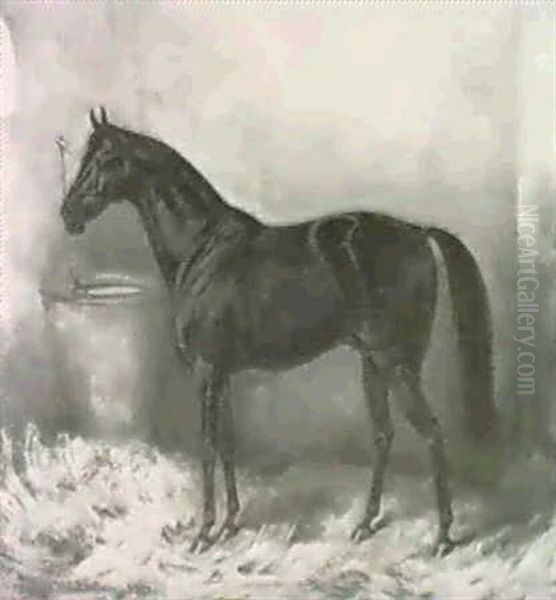 Rappe In Stall Oil Painting by Franz Von Stuckenberg