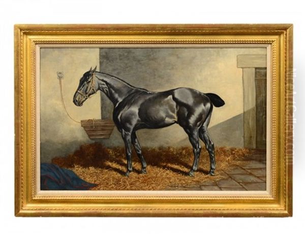 Grey Hunter In A Barn Oil Painting by Henry Stull