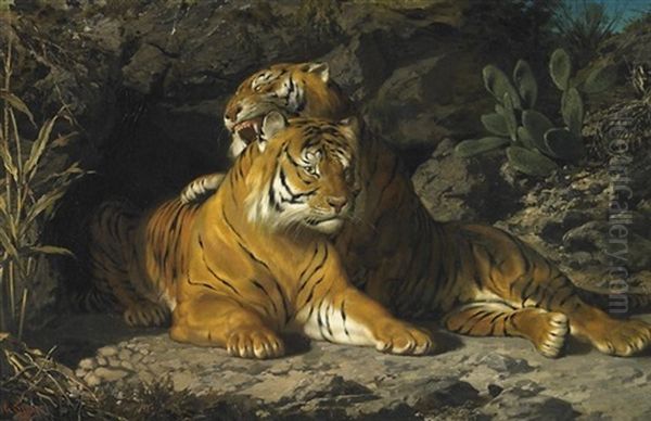 Tigerpaar Vor Felsenhohle by George Sturm