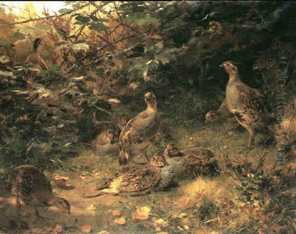 Partridges In A Thicket Oil Painting by George Sturm