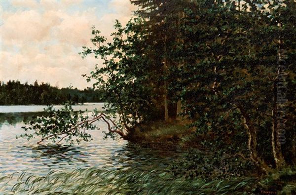 Paisaje Oil Painting by Thure Sundell