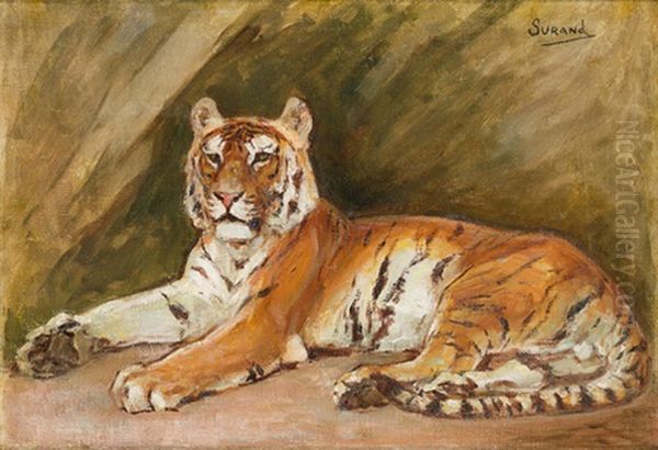 Liegender Tiger Oil Painting by Gustave Surand