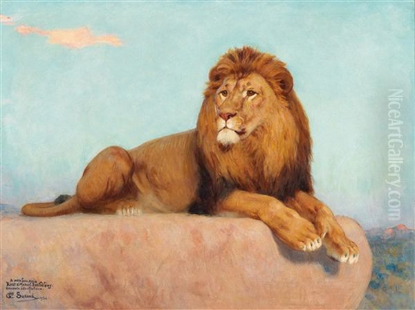 Lion Resting Oil Painting by Gustave Surand