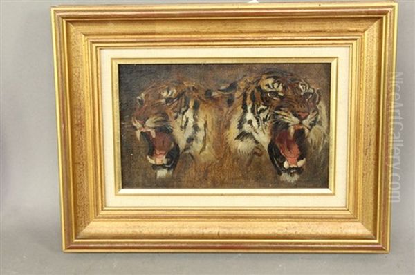 Deux Tetes De Tigres De Cochinchine Oil Painting by Gustave Surand