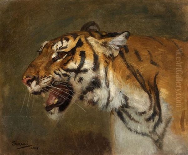 Tete De Tigre De Cochinchine Oil Painting by Gustave Surand