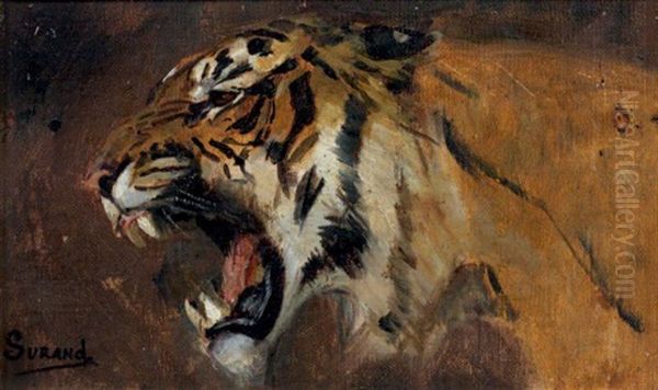 Tete De Tigre Rugissant Oil Painting by Gustave Surand