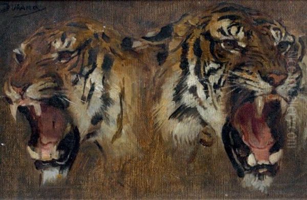 Deux Tetes De Tigres Oil Painting by Gustave Surand