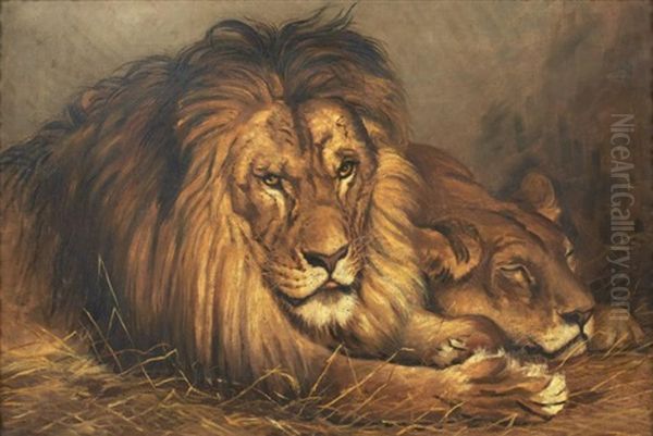 Couple De Lions Oil Painting by Gustave Surand