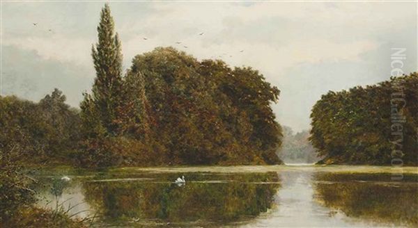 The Swan's Lake, Kew Gardens Oil Painting by John Surtees